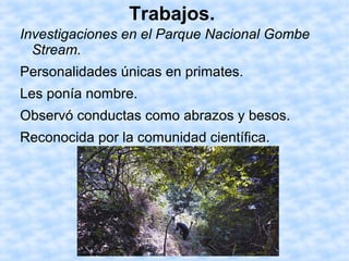 Trabajos.
Investigaciones en el Parque Nacional Gombe
Stream.
Personalidades únicas en primates.
Les ponía nombre.
Observó conductas como abrazos y besos.
Reconocida por la comunidad científica.
 