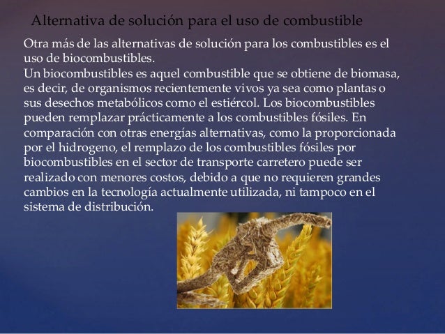 Si puede influir la candidiasis sobre la potencia