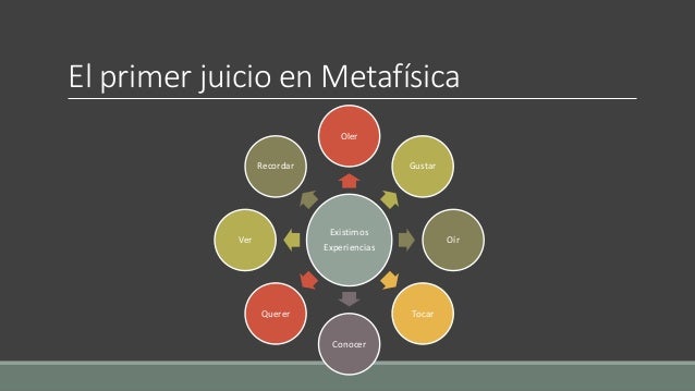 Los principios de la Metafísica