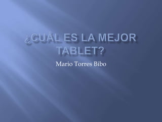 Mario Torres Bibo
 
