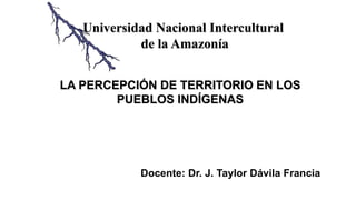 LA PERCEPCIÓN DE TERRITORIO EN LOS
PUEBLOS INDÍGENAS
Docente: Dr. J. Taylor Dávila Francia
Universidad Nacional Intercultural
de la Amazonía
 