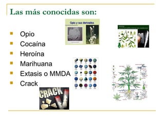 Las más conocidas son:
 Opio
 Cocaína
 Heroína
 Marihuana
 Extasis o MMDA
 Crack
 