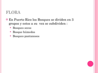 FLORA  En Puerto Rico los Bosques se dividen en 3  grupos y estos a su  vez se subdividen :  Bosques secos Bosque húmedos  Bosques pantanosos 
