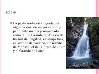 RÍOS  La parte norte esta regada por algunos ríos, de mayor caudal y pendiente menos pronunciada como el Río Grande de A ñ asco de 65 Km de longitud, el Guaja taca, el Grande de Arecibo, el Grande de Manatí , el de la Plata de 73km y el Grande de Loíza.  