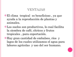 VENTAJAS  El clima  tropical  es beneficioso , ya que ayuda a la reproducción de plantas y animales. Los suelos son productivos, lo cual facilita la siembra de café, cítricos y frutos tropicales , para exportación.  Hay gran cantidad de embalses, ríos  y lagos de los cuales utilizamos el agua para labores agrícolas  y uso del ser humano.  