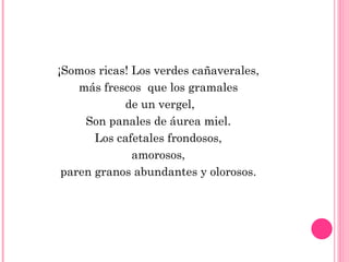 ¡Somos ricas! Los verdes cañaverales,  más frescos  que los gramales  de un vergel, Son panales de áurea miel.  Los cafetales frondosos,  amorosos,  paren granos abundantes y olorosos.  