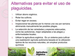 Alternativas para evitar el uso de
plaguicidas.
1. Utilizar abono orgánico.
2. Rotar los cultivos.
3. Evitar regar en exceso.
4. Inspeccionar las plantas por lo menos una vez por semana
eliminando manualmente las posibles plagas.
5. La selección de las variedades y especies adecuadas,
como las autóctonas, mejor adaptadas a las plagas y
enfermedades locales.
6. Utilizar la agricultura orgánica. Es un sistema para cultivar
una explotación agrícola autónoma basada en la utilización
óptima de los recursos naturales, sin emplear productos
químicos
 