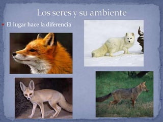  El lugar hace la diferencia
 