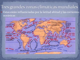  Estas están influenciadas por la latitud altitud y las corrientes
  oceánicas
 