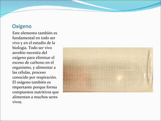 Oxígeno Este elemento también es fundamental en todo ser vivo y en el estudio de la biología. Todo ser vivo aerobio necesita del oxígeno para eliminar el exceso de carbono en el organismo, y alimentar a las células, proceso conocido por respiración. El oxígeno también es importante porque forma compuestos nutritivos que alimentan a muchos seres vivos. 