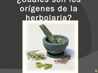 ¿Cuáles son los orígenes de la herbolaria? 