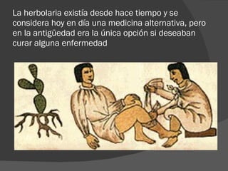 La herbolaria existía desde hace tiempo y se considera hoy en día una medicina alternativa, pero en la antigüedad era la única opción si deseaban curar alguna enfermedad 