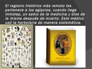El registro histórico más remoto les pertenece a los egipcios, cuando llega Imhotep, un sabio de la medicina y dios de la misma después de muerto. Este médico usó la herbolaria de manera sistemática. 