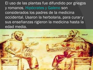 El uso de las plantas fue difundido por griegos y romanos , Hipócrates y Galeno  son considerados los padres de la medicina occidental. Usaron la herbolaria, para curar y sus enseñanzas rigieron la medicina hasta la edad media. 