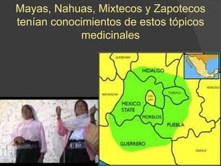 Mayas, Nahuas, Mixtecos y Zapotecos tenían conocimientos de estos tópicos medicinales 