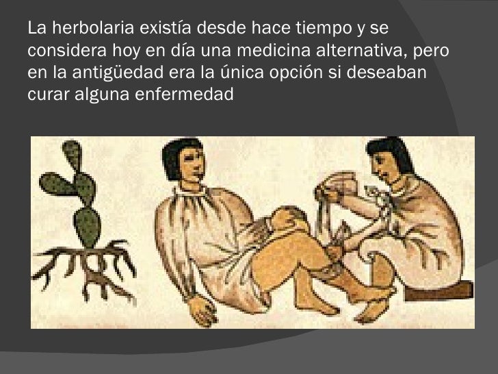 Cuáles son los orígenes de la herbolaria