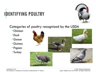 Comprehensive Guide to Poultry: Types, Nutrition, and Preparation ...