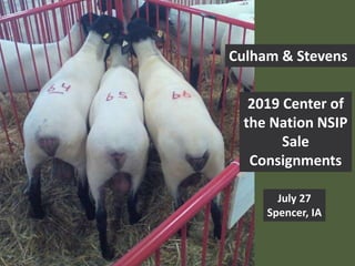 Culham & Stevens
2019 Center of
the Nation NSIP
Sale
Consignments
July 27
Spencer, IA
 
