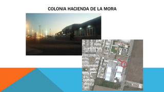COLONIA HACIENDA DE LA MORA
 