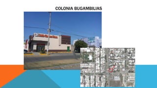 COLONIA BUGAMBILIAS
 