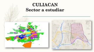 CULIACAN
Sector a estudiar
 