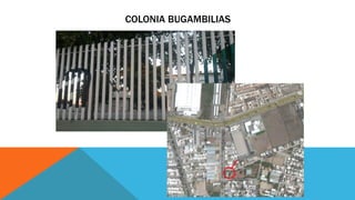 COLONIA BUGAMBILIAS
 