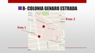 8- COLONIA GENARO ESTRADA
 