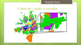 Culiacán – radio a estudiar
Huizaches
 