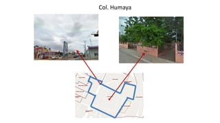 Col. Humaya
 