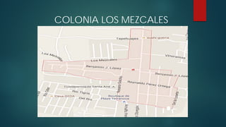 COLONIA LOS MEZCALES
1
 