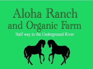 Aloha Ranch and
Organic Farm
An Eco Village Half way to the
Underground River
Aloha House
An Orphanage on an Organic Farm
Aloha Kitchen
Artisan Farmstead Cheeses, Salsas, Jams and more
2 hectares
5 acres
13 rai
31 dou
7 hectares
17 acres
43 rai
108 dou
 