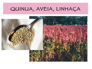 QUINUA, AVEIA, LINHAÇA 