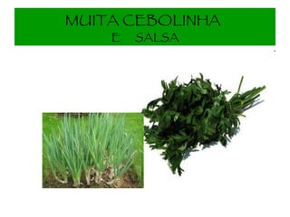 MUITA CEBOLINHA   E  SALSA 