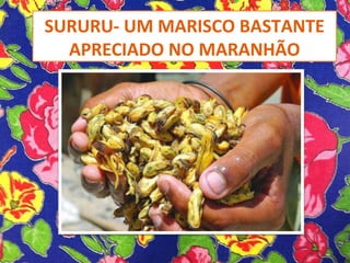 SURURU- UM MARISCO BASTANTE
APRECIADO NO MARANHÃO