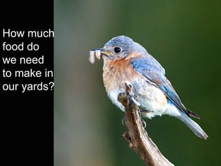 How much
food do
we need
to make in
our yards?
 