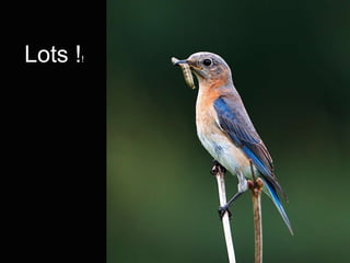 Lots !   !




             L
 