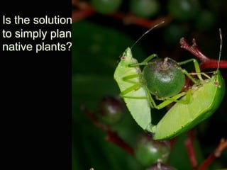 Is the solution
to simply plant
native plants?
 