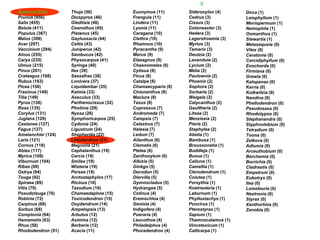 E
Quercus (534)       Thuja (50)            Euonymus (11)       Sideroxylon (4)     Dirca (1)
Prunus (456)        Diospyros (46)        Frangula (11)       Cedrus (3)          Leiophyllum (1)
Salix (455)         Gleditsia (46)        Lindera (11)        Cissus (3)          Menispermum (1)
Betula (411)        Ceanothus (45)        Lyonia (11)         Cotoneaster (3)     Nemophila (1)
Populus (367)       Platanus (45)         Caragana (10)       Hedera (3)          Osmanthus (1)
Malus (308)         Gaylussacia (44)      Clethra (10)        Lagerstroemia (3)   Stewartia (1)
Acer (297)          Celtis (43)           Rhamnus (10)        Myrtus (3)          Metasequoia (0)
Vaccinium (294)     Juniperus (42)        Pyracantha (9)      Tamarix (3)         Vitex (0)
Alnus (255)         Sambucus (42)         Morus (9)           Deutzia (2)         Ceratonia (0)
Carya (235)         Physocarpus (41)      Elaeagnus (9)       Lavandula (2)       Cercidiphyllum (0)
Ulmus (215)         Syringa (40)          Chaenomeles (8)     Lycium (2)          Exochorda (0)
Pinus (201)         Ilex (39)             Cytisus (8)         Melia (2)           Firmiana (0)
Crataegus (168)     Sassafras (38)        Ficus (8)           Paulownia (2)       Grewia (0)
Rubus (163)         Lonicera (37)         Catalpa (8)         Phoenix (2)         Kalopanax (0)
Picea (150)         Liquidambar (35)      Chamaecyparis (8)   Sophora (2)         Kerria (0)
Fraxinus (149)      Kalmia (33)           Chionanthus (8)     Sorbaria (2)        Kolkwitzia (0)
Tilia (149)         Aesculus (33)         Maclura (8)         Weigela (2)         Nandina (0)
Pyrus (138)         Parthenocissus (32)   Taxus (8)           Calycanthus (2)     Phellodendron (0)
Rosa (135)          Photinia (29)         Cupressus (7)       Gaultheria (2)      Pseudosasa (0)
Corylus (131)       Nyssa (26)            Andromeda (7)       Litsea (2)          Rhodotypos (0)
Juglans (129)       Symphoricarpos (25)   Campsis (7)         Menziesia (2)       Stephanandra (0)
Castanea (127)      Cydonia (24)          Celastrus (7)       Pieris (2)          Styphnolobium (0)
Fagus (127)         Ligustrum (24)        Halesia (7)         Staphylea (2)       Tetradium (0)
Amelanchier (124)   Shepherdia (22)       Ledum (7)           Abelia (1)          Toona (0)
Larix (121)         Liriodendron (21)     Ailanthus (6)       Bambusa (1)         Zelkova (0)
Cornus (118)        Magnolia (21)         Clematis (6)        Broussonetia (1)    Adlumia (0)
Abies (117)         Cephalanthus (19)     Ptelea (6)          Buddleja (1)        Arceuthobium (0)
Myrica (108)        Cercis (19)           Zanthoxylum (6)     Buxus (1)           Berchemia (0)
Viburnum (104)      Smilax (19)           Albizia (5)         Calluna (1)         Borrichia (0)
Ribes (99)          Wisteria (19)         Ginkgo (5)          Camellia (1)        Cladrastis (0)
Ostrya (94)         Persea (18)           Decodon (5)         Clerodendrum (1)    Empetrum (0)
Tsuga (92)          Arctostaphylos (17)   Diervilla (5)       Colutea (1)         Eubotrys (0)
Spiraea (89)        Ricinus (16)          Gymnocladus (5)     Forsythia (1)       Itea (0)
Vitis (79)          Taxodium (16)         Hydrangea (5)       Koelreuteria (1)    Loiseleuria (0)
Pseudotsuga (76)    Chamaedaphne (15)     Cotinus (4)         Laburnum (1)        Nestronia (0)
Robinia (72)        Toxicodendron (15)    Eremochloa (4)      Phyllostachys (1)   Styrax (0)
Carpinus (68)       Oxydendrum (14)       Genista (4)         Poncirus (1)        Xanthorhiza (0)
Sorbus (68)         Ampelopsis (13)       Indigofera (4)      Pterostyrax (1)     Zenobia (0)
Comptonia (64)      Arbutus (12)          Pueraria (4)        Sapium (1)
Hamamelis (63)      Asimina (12)          Leucothoe (4)       Thamnocalamus (1)
Rhus (58)           Berberis (12)         Philadelphus (4)    Vincetoxicum (1)
Rhododendron (51)   Acacia (11)           Phoradendron (4)    Callicarpa (1)
 