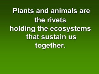 Plants and animals are
       the rivets
holding the ecosystems
     that sustain us
        together.
 