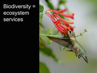 Biodiversity =
ecosystem
services
 