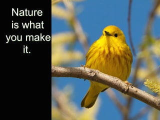 Nature
 is what
you make
    it.
 
