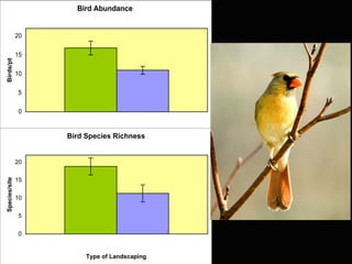 Bird Abundance


               20

               15
Birds/pt




               10

               5

               0


                        Type of Landscaping
                    Bird Species Richness


               20
Species/site




               15

               10

               5                        Native
               0


                         Type of Landscaping
 