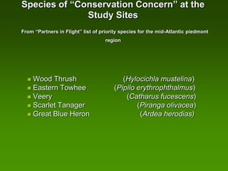 Species of “Conservation Concern” at the
              Study Sites
From “Partners in Flight” list of priority species for the mid-Atlantic piedmont
                                   region




   Wood Thrush                           (Hylocichla mustelina)
   Eastern Towhee                     (Pipilo erythrophthalmus)
   Veery                                  (Catharus fucescens)
   Scarlet Tanager                            (Piranga olivacea)
   Great Blue Heron                            (Ardea herodias)
 