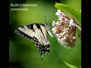 Build a balanced
community
 