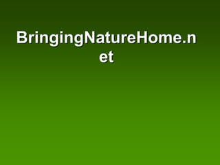 BringingNatureHome.n
         et
 