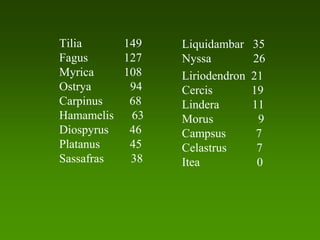 Tilia     149   Liquidambar    35
Fagus     127   Nyssa          26
Myrica    108   Liriodendron   21
Ostrya     94   Cercis         19
Carpinus   68   Lindera        11
Hamamelis  63   Morus           9
Diospyrus  46   Campsus         7
Platanus   45   Celastrus       7
Sassafras  38   Itea            0
 