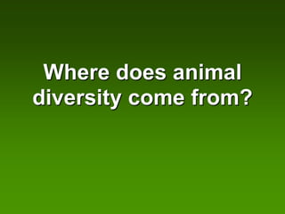 Where does animal
diversity come from?
 