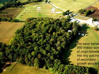 We have turned
950 million acre
of virgin forests
into tiny patche
of secondary
growth woodlot
 