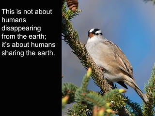 This is not about
humans
disappearing
from the earth;
it’s about humans
sharing the earth.
 