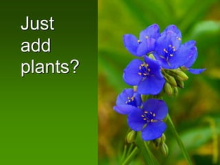 Just
add
plants?
 